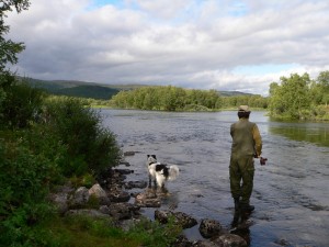 Laksefiske i Stabburselva