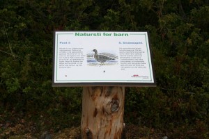 Natursti barn