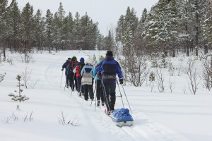 Skitur Stabbursdalen